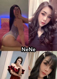 Nene 🇹🇭 new at khobar. - escort in Khobar Photo 11 of 12