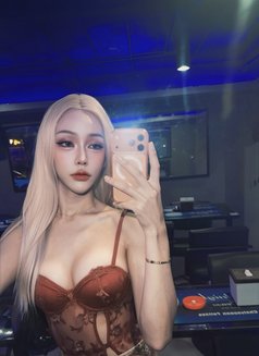 Nene Sexy Ladyboy 🇹🇭 - Agencia de acompañantes transexuales in Pattaya Photo 1 of 12