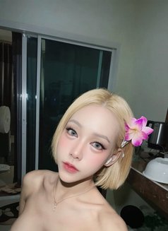 Nene Sexy Ladyboy 🇹🇭 - Agencia de acompañantes transexuales in Pattaya Photo 13 of 13