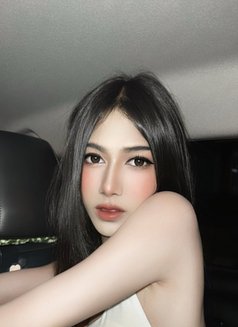 Nene Sexy Ladyboy - Transsexual escort in Phuket Photo 2 of 6