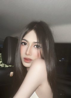 Nene Sexy Ladyboy - Transsexual escort in Phuket Photo 3 of 6
