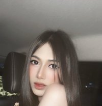 Nene Sexy Ladyboy - Acompañantes transexual in Phuket