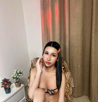 Nene sweet both (vip69) - Transsexual escort in Khobar