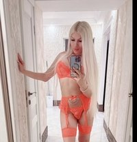 Paulina top shemale - Transsexual escort in Muscat