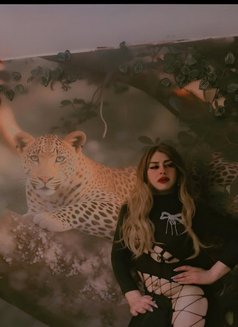 Nesma - Acompañante transexual in Cairo Photo 26 of 28