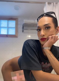 Ness/vers/bkk - Transsexual escort in Bangkok Photo 19 of 19