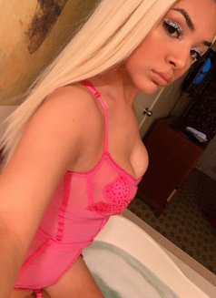 Nessa GFE Massage - masseuse in Stockholm Photo 10 of 11