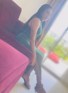 Nethu (New to Colombo) - escort in Colombo Photo 12 of 15