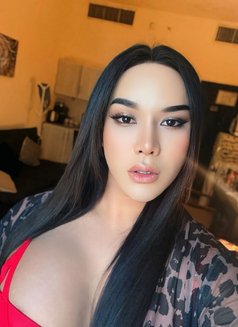 New Alan 8 Inch Fuck Good - Acompañantes transexual in Abu Dhabi Photo 12 of 12