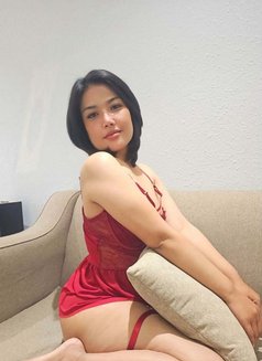 🫦🩷New Amira🩷🫦 - escort in Khobar Photo 4 of 6