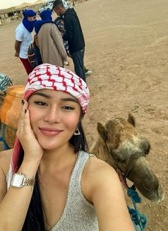 New and Pretty Face Belle - puta in Hyderabad Photo 3 of 7