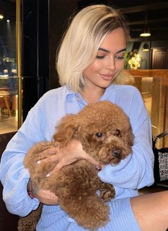 New Angel - escort in Al Manama Photo 5 of 12