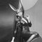 NEW ARRIVAL XL DICK GOOD TOP KINKY - Transsexual escort in Bali