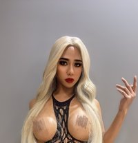 New Arrivals In Riyadh 🇸🇦🥵 - Transsexual escort in Riyadh