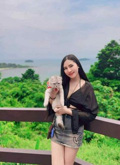 🦋🏵️Nong Noey🏵️🦋 - escort in Bangkok Photo 4 of 5