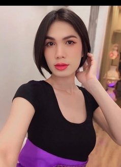 Niya Thailand 🇹🇭 New - Transsexual escort in Doha Photo 2 of 4