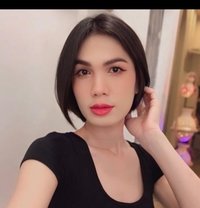 Niya Thailand 🇹🇭 New - Transsexual escort in Doha