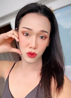 New Available - Transsexual escort in Khobar Photo 1 of 5