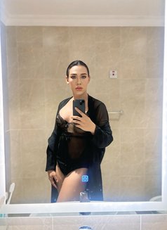 New Available - Transsexual escort in Khobar Photo 8 of 13