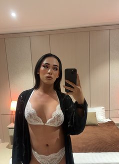 New Available - Transsexual escort in Khobar Photo 15 of 17