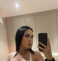 New Available - Acompañantes transexual in Khobar