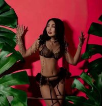 🥰New Aziza🥰 - escort in Phuket