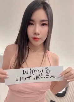 New Bangkok Escort Winny - escort in Bangkok Photo 16 of 20