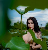 New🪬🧿BELLA🧿🪬BOTH TOP 🇸🇦 - Transsexual escort in Khobar