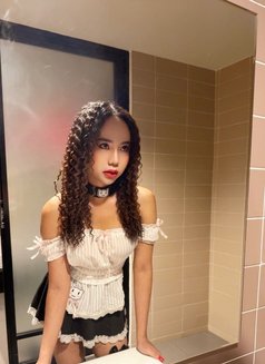New Top both good service sex hot - Transsexual escort in Khobar Photo 8 of 20