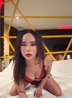 New Top both good service sex hot - Transsexual escort in Khobar Photo 13 of 20
