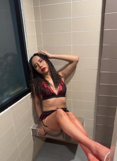 New Top both good service sex hot - Transsexual escort in Khobar Photo 14 of 20
