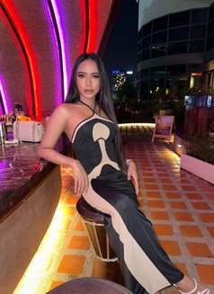 New Top both good service sex hot - Transsexual escort in Khobar Photo 16 of 20