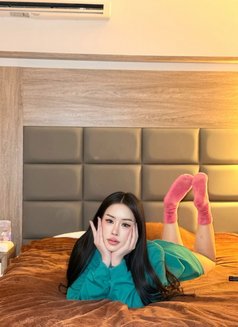 New Both chubby 69🇹🇭🇸🇦 - Transsexual escort in Dammam Photo 11 of 15