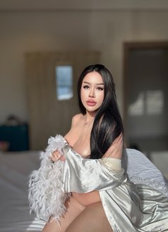 New Both chubby 69πΉππΈπ¦ - Transsexual escort in Jeddah Photo 17 of 19