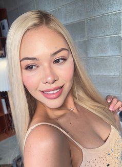 New Brazil Nicole - escort in Hong Kong Photo 17 of 22