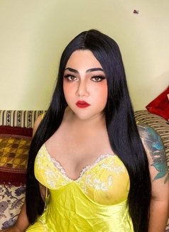 ladyboy chubby sexy Thailand - Acompañantes transexual in Amman Photo 6 of 10