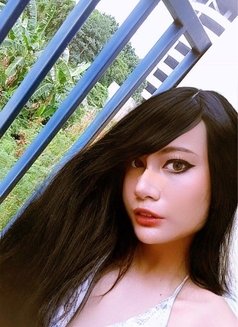 NEW COMER TRANSEXUAL MISTRESS MIYABI - Transsexual escort in Jakarta Photo 11 of 12