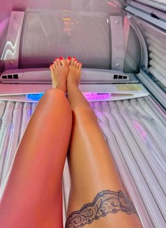 New cute Sára, INDEPENDENT - escort in London Photo 15 of 17