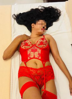 New Escort Thashi - escort in Colombo Photo 6 of 8
