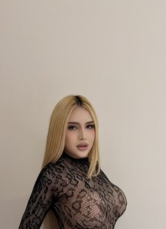 New face in town Bombshell almira 🇵🇭 - Acompañantes transexual in Dubai Photo 1 of 15