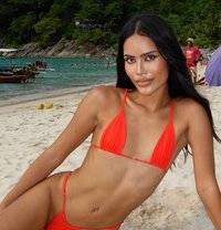 NEW From Thailand - Transsexual escort in Ho Chi Minh City