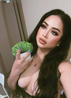 New Girl Full Service Aziba - escort in Muscat Photo 1 of 5