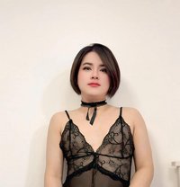 New Full Service - Transsexual escort in Doha