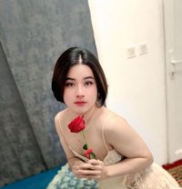 New Full Service - Transsexual escort in Doha