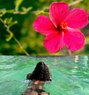 New girl Hazel Available Bangalore - escort in Bangalore Photo 7 of 7
