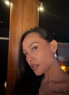 New girl just arrived 🫦 - escort in Okinawa Island Photo 8 of 9
