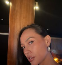 New girl just arrived 🫦 - escort in Okinawa Island Photo 3 of 10