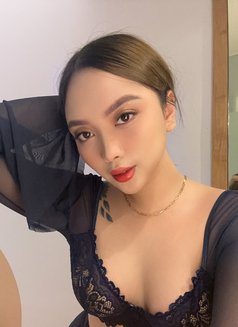 New Girl Sg Aliyah - escort in Singapore Photo 9 of 17