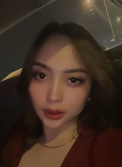 New Girl Sg Aliyah - escort in Singapore Photo 10 of 17