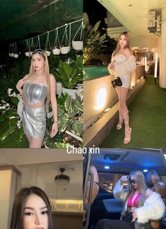 New Girls Part 2 - escort agency in Manila Photo 17 of 28